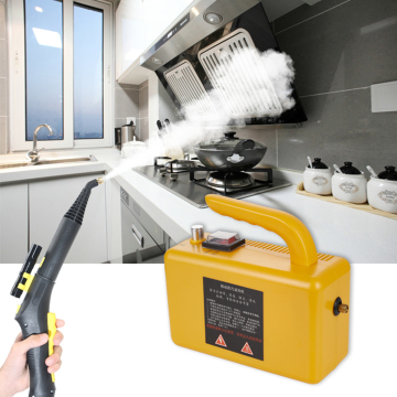 110V Portable Steam Cleaner - Easy Operation, Cheap Price