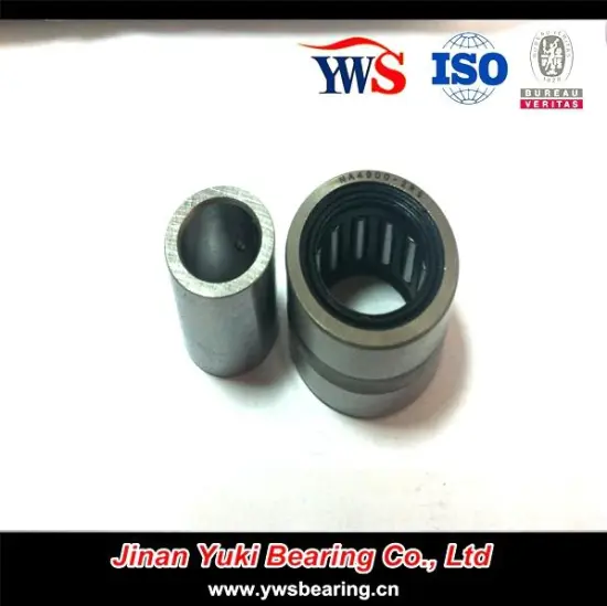 Na4900 Needle Roller Bearing