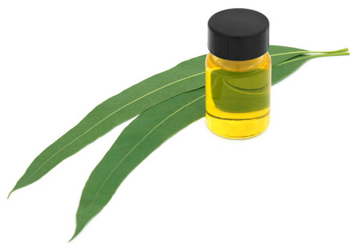 Bulk Lemon Eucalyptol Essential Oil Factory Harga