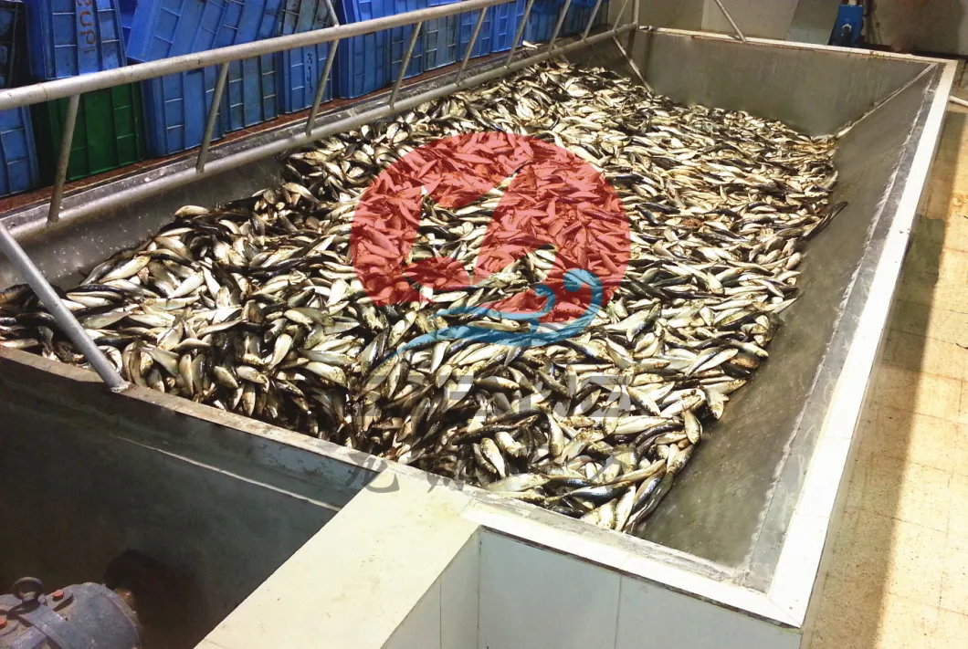 Fish Meal Machine/Fish Meal Treatment Plant/Fish Meal Paggawa ng Machine