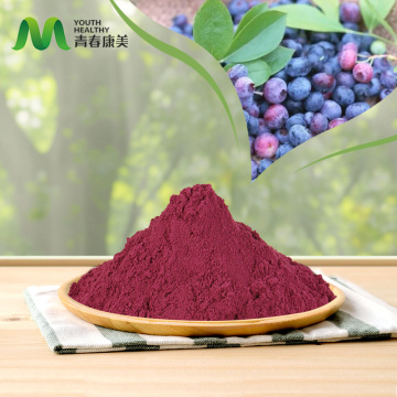 Najbolja veleprodaja Acai Berry Powder