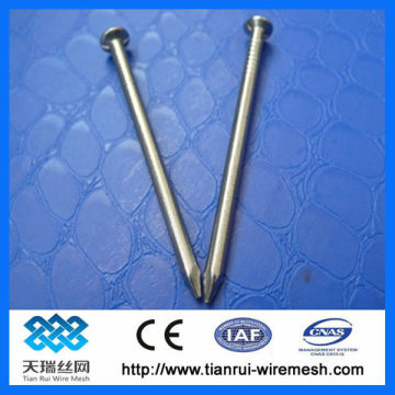 Bright Electro Galvanized Concrete Iron Nails
