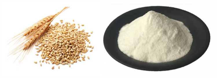 Wheat Peptide Powder