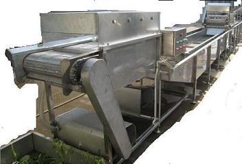 Plantain Chips Production Line (JY-S3)