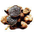 Organic Whole Black Garlic with Super Packing