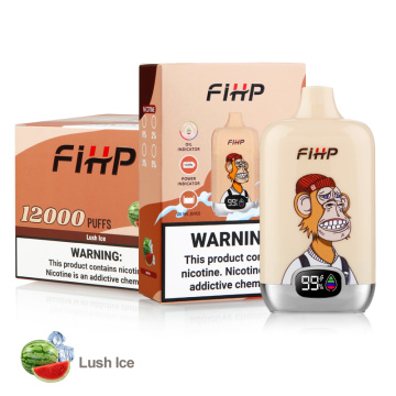 FIHP 12k Puffs Disposable Electronic Cigarettes Rechargeable