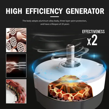 12V 24V 300W Alternative Energy Generators Wind Turbine