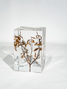 Transparent Leaves Stool Square Tranparent Crystal Stool