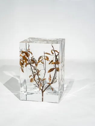 Transparent Leaves Stool Square Tranparent Crystal Stool