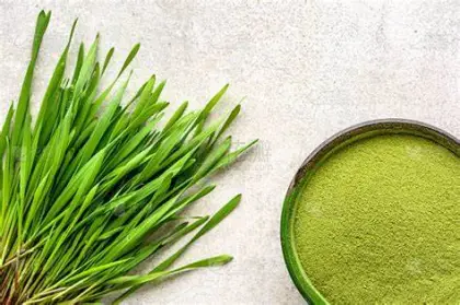 Pure Organic Barley Grass Powder