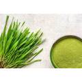 Pure Organic Barley Grass Powder