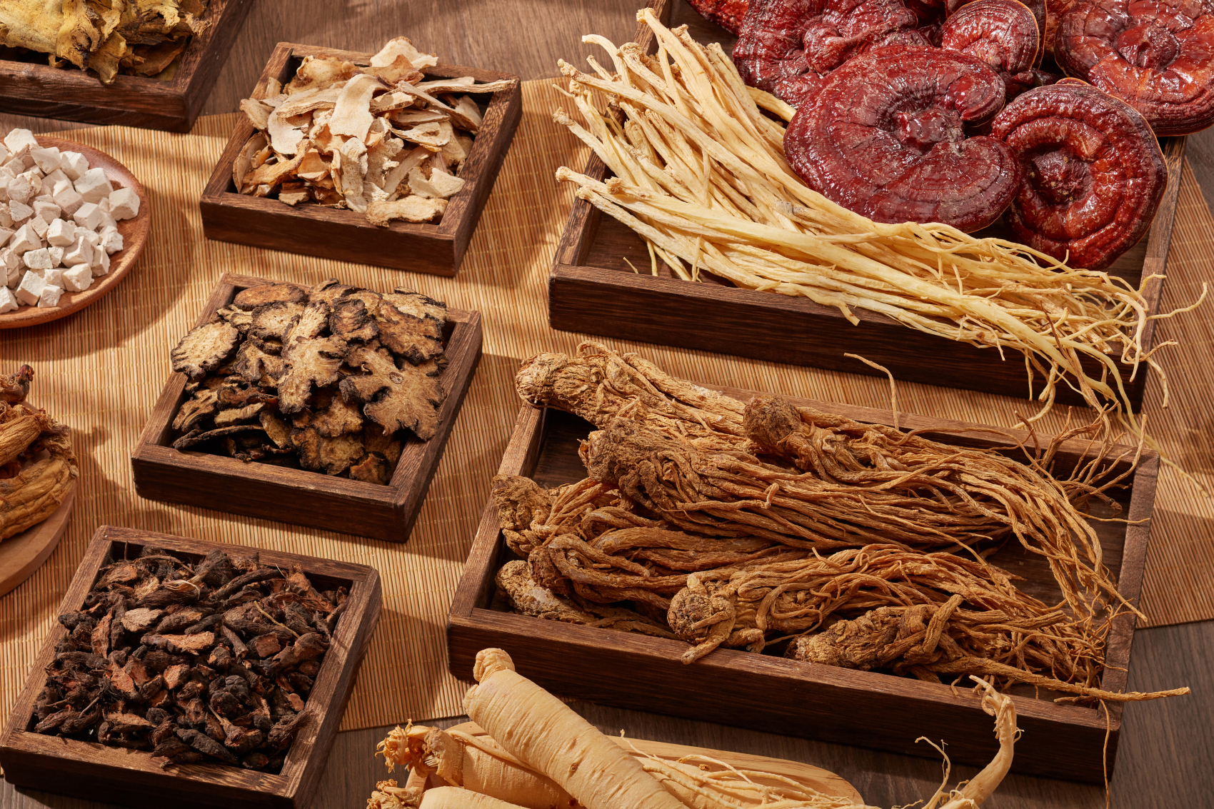 Traditional Chinese Medicine3