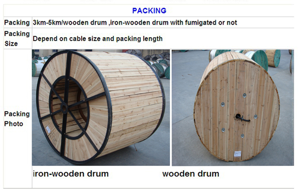 Single Mode Corrugated Steel Tape Armored Optic Fiber Cable (GYFXS)