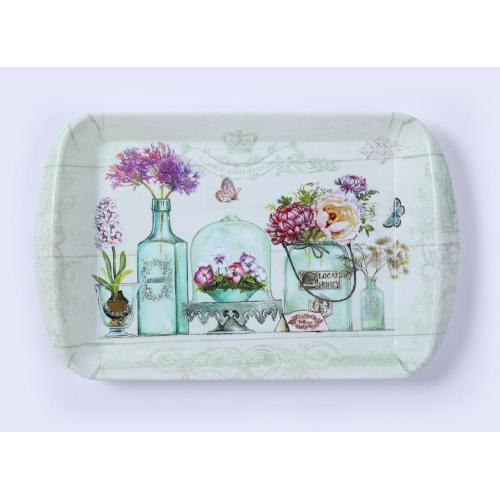 Plastic Tray with Handle for party kitchen