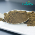 Anti-Inflammatory rhubarb root extract 2% chrysophanol powder Manufactory