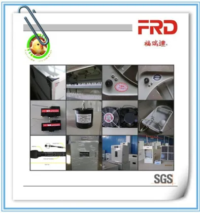 Cheap automatic, solar incubator for pheasant eggs, capacity 1232pcs