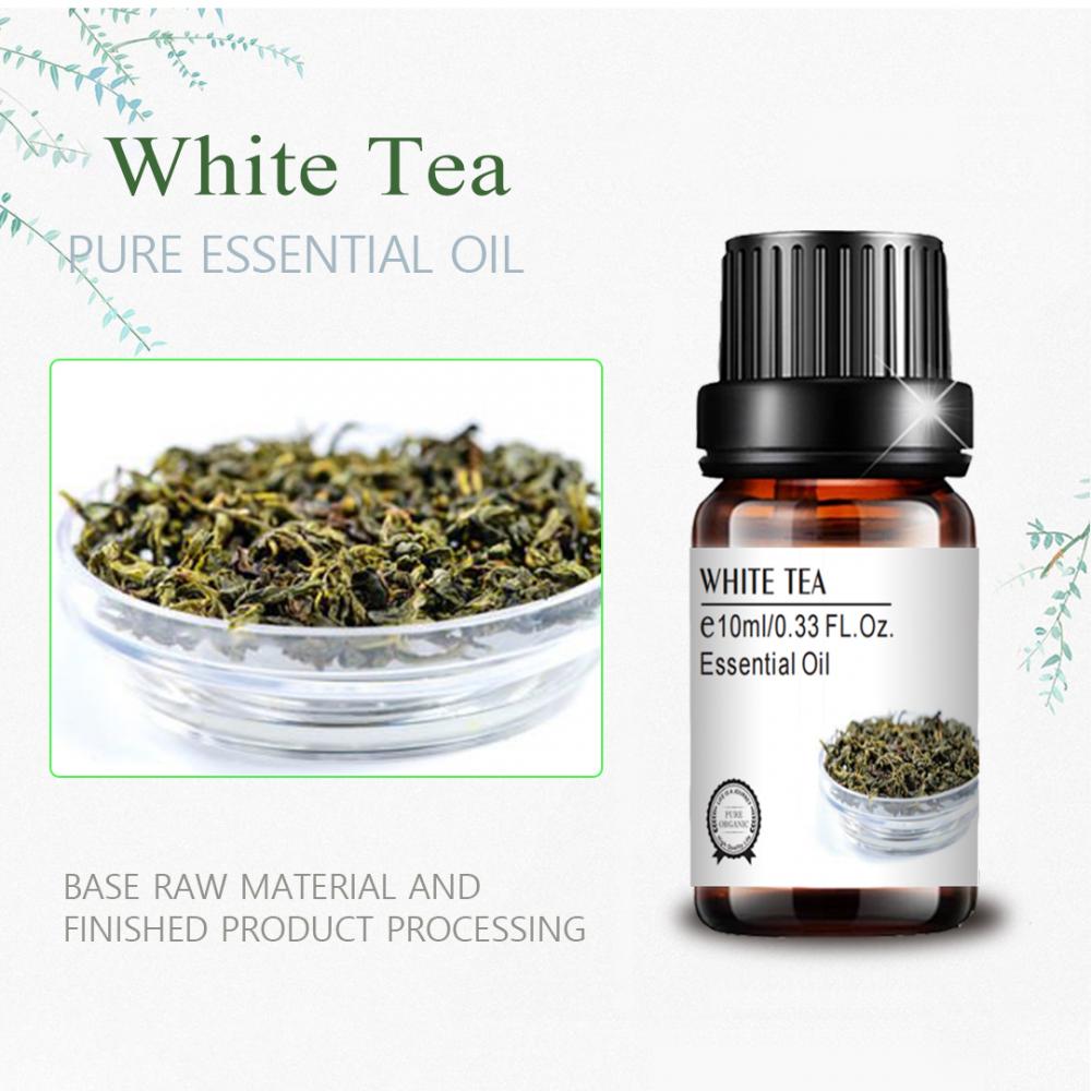 wholesale bulk private label white tea oil