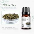 wholesale bulk private label white tea oil