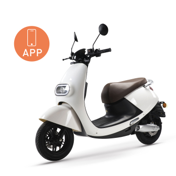 Rental Replacement Lithium Batteries for Electric Scooters and Motorcycles