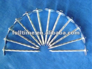nails professional products common wire nail 8G*2"