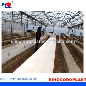 Vassoio vegetale per verdure a corfluti di plastica anti-UV