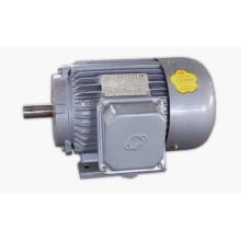 Y series 3-phase squirrel cage motor