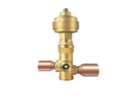 The Electronic expansion valve
