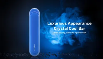 Sporting Smoke Device Refilled Coolplay 500 Puff Bar