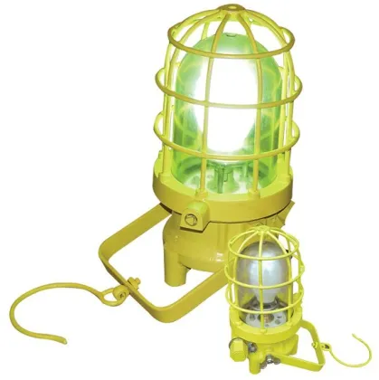 AL80/100 Pneumatic explosion-proof light