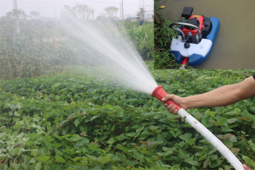 2015 gasoline engine agriculture water pump 1.5 inch water pump