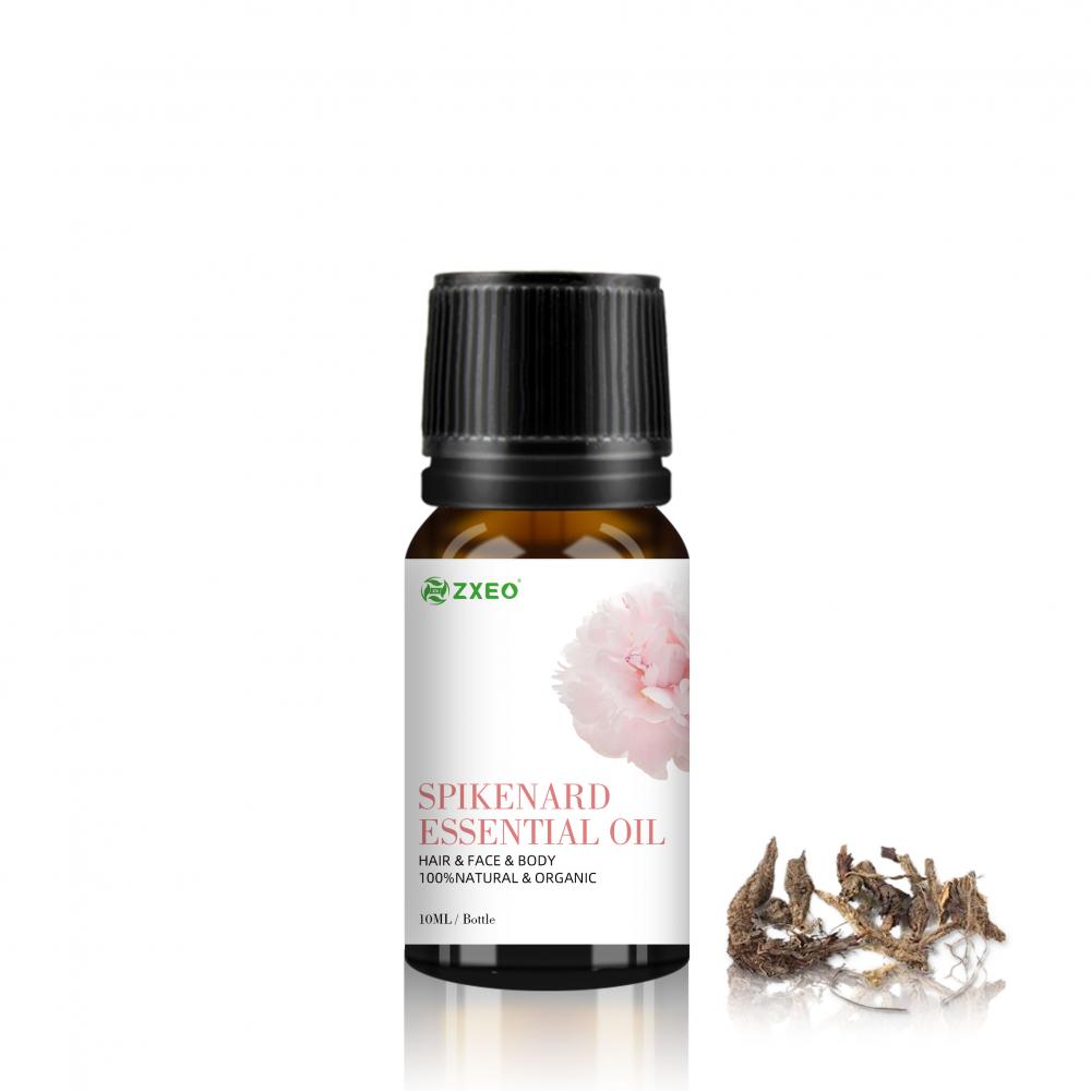 Label pribadi Spikenard Essential Oil ISO Minyak Bersertifikat &amp; Kualitas Organik Minyak Spikenard untuk Tingkat Aromaterapi