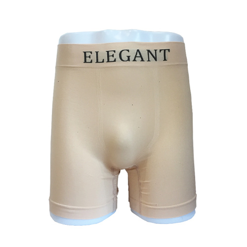 Men's Boxer Chinlon Underwear Seamless Boxer Shorts
