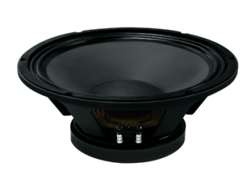 Professional Loudspeaker Woofer Speaker (FW-12065-55C)