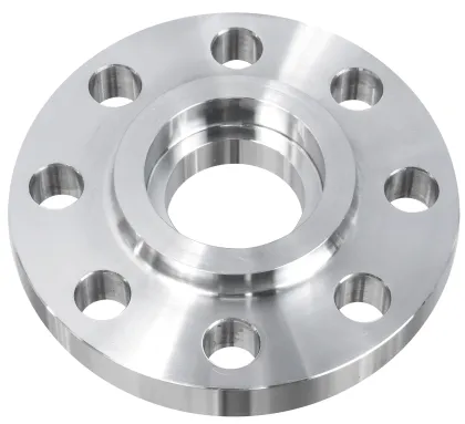 stainless steel special flange