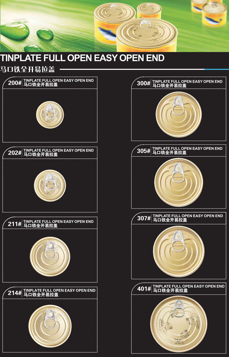 H_Tin_EOE_Catalog_A