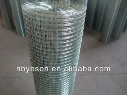 Galvanized Welded Wire Mesh(Direct Factory)