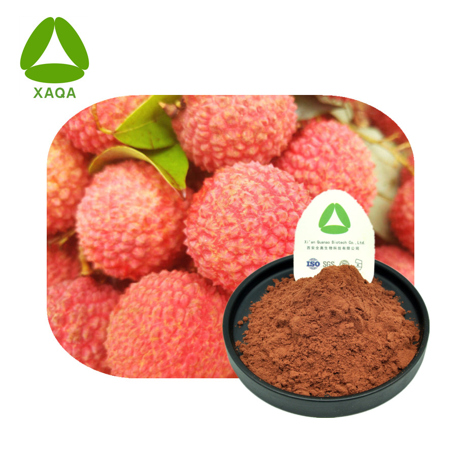 Litchi chinensis extract polyfenol fruitpoeder