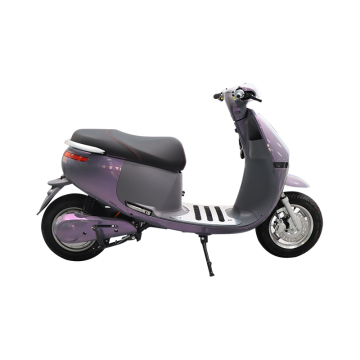 Top Selling 1000W Electric City Scooter - Long Range 60V 72V 10 Inch Moped