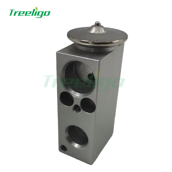 840347N 1668300284 Car Expansion Valve for Mercedes W166 - Manufacturer Price