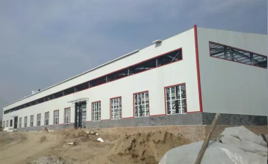 Custom Design Steel Structure Building