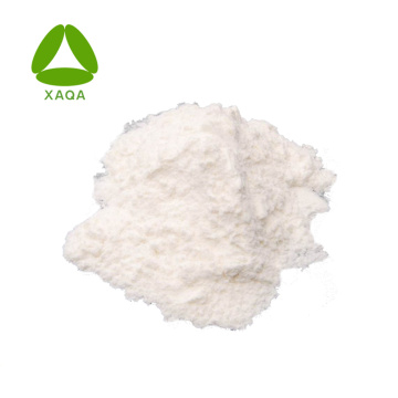 Oyster Peptide Protein Powder Oyster Extract Bulk Price