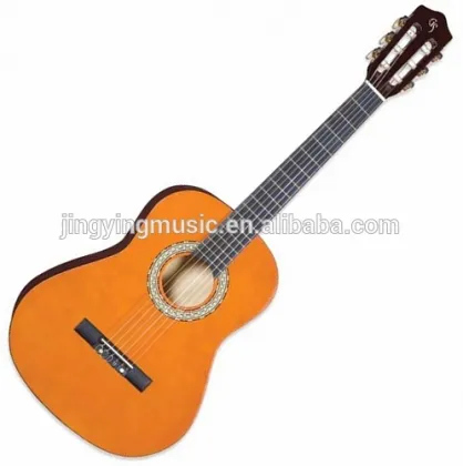 PRACTISE FOLK GUITAR