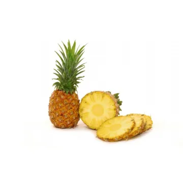 Canned pineapple processing line 1TPH capacity