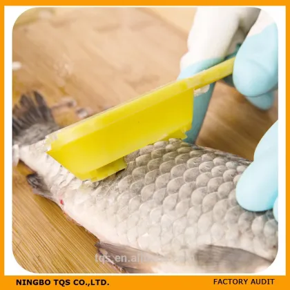 Creative Kitchen Products Easy Fish Scaler/ Scaled fish