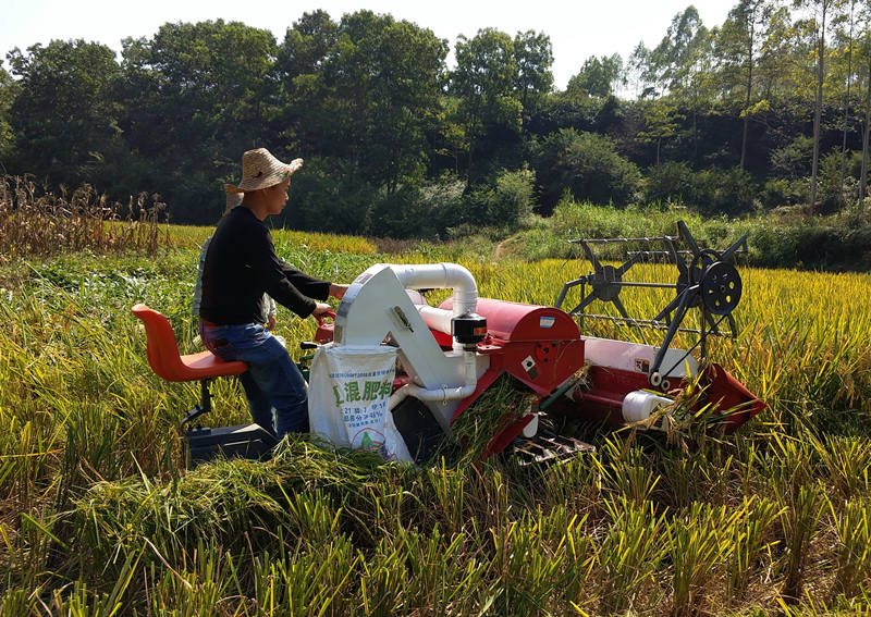 4LZ1.2 mini rice harvester 4LZ1.2 mini rice harvester