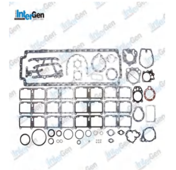 Lower Set for Cum NT855 OEM:3801235