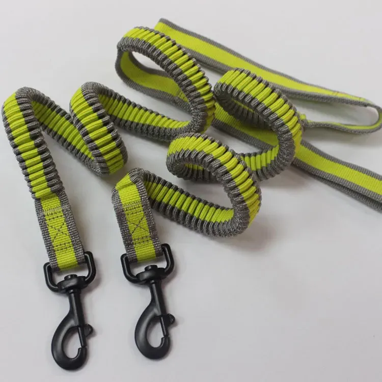 Adjustable Pet Training Collar and Leash Set