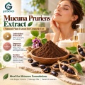 مستخلص Mucuna Pruriens مع 15%-99% L-Dopa للمكملات الغذائية وتطوير التركيبة