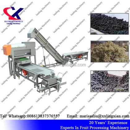 Large Scale Ice Grape Juice Making Machine | Grape Juice Processing Equipment