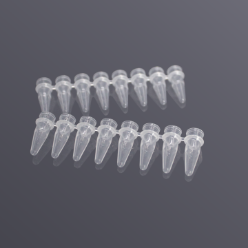 0,2 mL sekiz sıralı tüp (kapaksız)